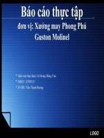 BÁO CÁO THỰC TẬP SẢN XUẤT NGÀNH MAY TẠI Xưởng may Phong Phú Guston Molinel - NỘI DUNG QUY TRÌNH CÔNG NGHỆ CHUẨN BỊ SẢN XUẤT