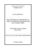 Phân tích hiệu quả kinh doanh của công ty cổ phần du lịch Hoàng Anh đất xanh Quy Nhơn