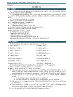 Tài liệu ôn tập học kì 1 hóa học 11