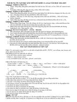 Nội dung ôn tập học kì II môn hóa khối 11 cơ bản