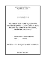 Phát triển dịch vụ đối với doanh nghiệp nhỏ và vừa tại ngân hàng TMCP Phương Đông, chi nhánh Trung Việt