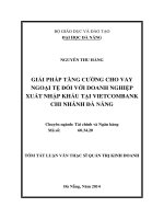 Giải pháp tăng cường cho vay ngoại tệ đối với doanh nghiệp xuất nhập khẩu tại Vietcombank chi nhánh Đà Nẵng.