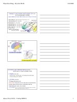 CHƯƠNG V HOẠT ĐỘNG THẦN KINH CẤP CAO