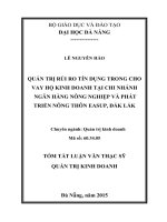Quản trị rủi ro tín dụng trong cho vay hộ kinh doanh tại chi nhánh ngân hàng NN&PTNT Easup, Đăk Lăk