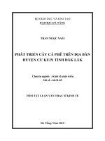 Phát triển cây cà phê trên địa bàn Huyện Cư Kuin Tỉnh Đăk Lăk