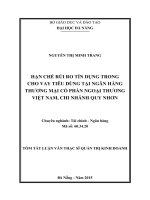 Hạn chế rủi ro tín dụng trong cho vay tiêu dùng tại ngân hàng TMCP ngoại thương Việt Nam, chi nhánh Quy Nhơn
