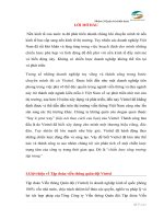 Phân tích chiến lược tăng trưởng tập trung của Viễn thông Viettle