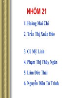 Bài tập kinh tế lượng CÁC YẾU TỐ ẢNH HƯỞNG ĐẾN GIÁ BÁN MỘT CĂN NHÀ Ở KHU ĐÔ THỊ MỚI PHÚ MỸ HƯNG