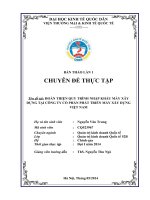 Hoàn thiện quy trình nhập khẩu Máy xây dựng tại công ty Cổ phần phát triển Máy xây dựng Việt Nam (VINACOMA.,JSC)