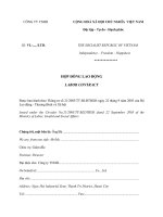 Mẫu hợp đồng lao động song ngữ (Labour Contract)