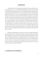 CHIẾN lược xúc TIẾN của PEPSICO