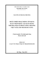 Hoàn thiện hoạt động tín dụng xuất nhập khẩu tại ngân hàng TMCP công thương Việt Nam, Chi nhánh Đà Nẵng