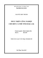 Phát triển công nghiệp chế biến cà phê Tỉnh Đăk Lắk