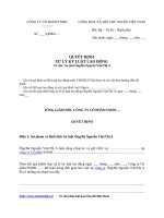 Mẫu quyết định sa thải