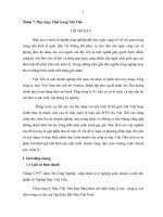 Phân tích thời cơ, thách thức trong việc thiết lập chiến lược kinh doanh của công ty cổ phần May Việt Tiến