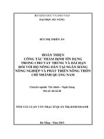 Hoàn thiện công tác thẩm định tín dụng trong cho vay trung và dài hạn đối với hộ nông dân tại ngân hàng NN&PTNT, chi nhánh Quảng Nam