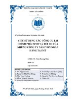 VIỆC SỬ DỤNG CÁC CÔNG CỤ TÀI CHÍNH PHÁI SINH VÀ RỦI RO CỦA NHỮNG CÔNG TY NẮM VỐN NGÂN HÀNG TẠI MỸ