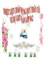 Bài giảng trường hợp đồng dạng thứ nhất môn hình học 8