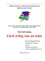 vận dụng kiến thức liên môn giải quyết tình huống cách trồng rau an toàn, đảm bảo vệ sinh an toàn thực phẩm