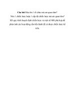 CHIẾN LƯỢC KINH DOANH  TẠI CÔNG TY CỔ PHẦN BIA SÀI GÒN – MIỀN TRUNG  GIAI ĐOẠN 2012 -2017