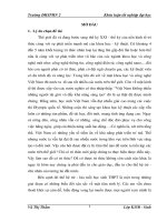 (cho phép copy) nghiên cứu mối tương quan giữa các chỉ số năng lực trí tuệ cơ bản ở học sinh trường THPT lê xoay vĩnh tường   vĩnh phúc