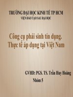 Thuyết trình Các công cụ phái sinh tín dụng. Thực trạng và khả năng ứng dụng tại Việt Nam