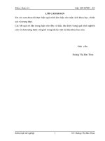 Hoạt động tiêu thụ sản phẩm thuốc của công ty TNHH dược phẩm Việt Lâm