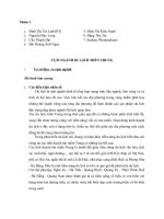 Chiến lược, cơ cấu và sự cạnh tranh của cụm ngành của Cụm ngành du lịch miền Trung