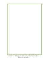 TÁC ĐỘNG CỦA KHỦNG HOẢNG TÀI CHÍNH LÊN THỊ TRƯỜNG CHO VAY VÀ TIỀN GỬI VAI TRÒ CỦA VAY LIÊN NGÂN HÀNG VÀ GIÁM SÁT THỊ TRƯỜNG LIÊN HỆ VÀ BÀI HỌC KINH NGHIỆM CHO VIỆT NAM