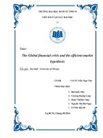 Tiểu luận tài chính doanh nghiệp The Global financial crisis and the efficient market hypothesis