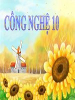 Bài 17 n2t phòng trừ tổng hợp dịch hại cây trồng