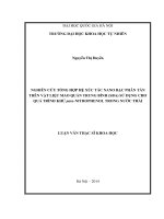 Nghiên cứu tổng hợp hệ xúc tác nano bạc phân tán trên vật liệu mao quản trung bình (SBA) sử dụng cho quá trình khử para-Nitrophenol trong nước thải