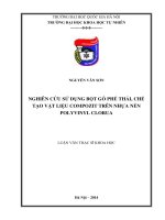 Nghiên cứu sử dụng bột gỗ phế thải, chế tạo vật liệu compozit trên nhựa nền polyvinyl Clorua