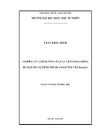 Nghiên cứu ảnh hưởng của các chất hoạt động bề mặt đến sự hình thành nano tinh thể Ba2In2O5