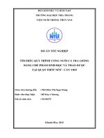 TÌM HIỂU QUY TRÌNH ƯƠNG NUÔI cá TRA GIỐNG BẰNG CHẾ PHẨM SINH học và THẢO dược tại QUẬN THỐT nốt   cần THƠ