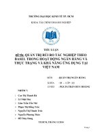 QUẢN TRỊ RỦI RO TÁC NGHIỆP THEO BASEL TRONG HOẠT ĐỘNG NGÂN HÀNG VÀ THỰC TRẠNG VÀ KHẢ NĂNG ỨNG DỤNG TẠI VIỆT NAM