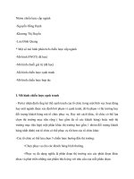 Một sô mô hình phân tích chiến lược cấp ngành trong quản trị chiến lược