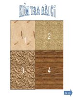 slide bài giảng chính sách dân số và giải quyết việc làm