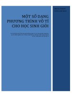 Một số phương trình vô tỷ bồi dưỡng HS GIỎI