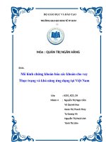 Tiểu luận quản trị ngân hàng Mô hình chứng khoán hóa các khoản cho vay Thực trạng và khả năng ứng dụng tại Việt Nam