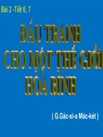 bài dự thi tích hợp liên môn chủ đề đấu tranh cho một thế giới hòa bình