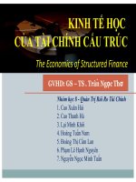KINH TẾ HỌC CỦA TÀI CHÍNH CẤU TRÚC The Economics of Structured Finance