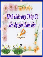 Bài giảng các trường hợp đồng dạng của tam giác vuông