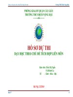 hồ sơ dự thi dạy học theo chủ đề tích hợp dạy học dự án môn địa lí 7 nội dung môi trường đới lạnh