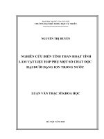 Nghiên cứu biến tính than hoạt tính làm vật liệu hấp phụ một số chất độc hại dưới dạng ion trong nước