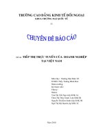 TIẾP THỊ TRỰC TUYẾN CỦA  DOANH NGHIỆP TẠI VIỆT NAM