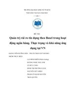 Quản trị rủi ro tín dụng theo Basel trong hoạt động ngân hàng. Thực trạng và khả năng ứng dụng tại Việt Nam