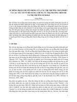 SỰ ĐỒNG DỊCH CHUYỂN ĐỘNG CỦA CÁC THỊ TRƯỜNG TRÁI PHIẾU VÀ CÁC YẾU TỐ VĨ MÔ BẰNG CHỨNG TỪ THỊ TRƯỜNG MỚI NỔI VÀ THỊ TRƯỜNG SƠ KHAI