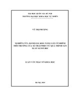 Nghiên cứu, đánh giá khả năng gây ô nhiễm môi trường của xỉ thải pirit từ quá trình sản xuất axit sunfuric