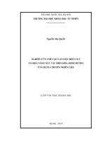 Nghiên cứu chế tạo vật liệu điện cực có khả năng xúc tác điện hóa, định hướng ứng dụng cho pin nhiên liệu